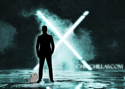 Feature Image for Mr. X and the Violet Chinchilla